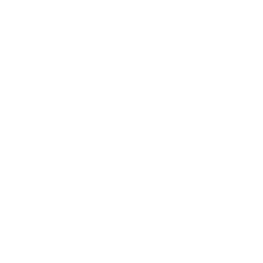 CustomsFlow logo